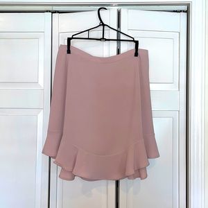 JCrew Pale Blush Pink Skirt Sz 8